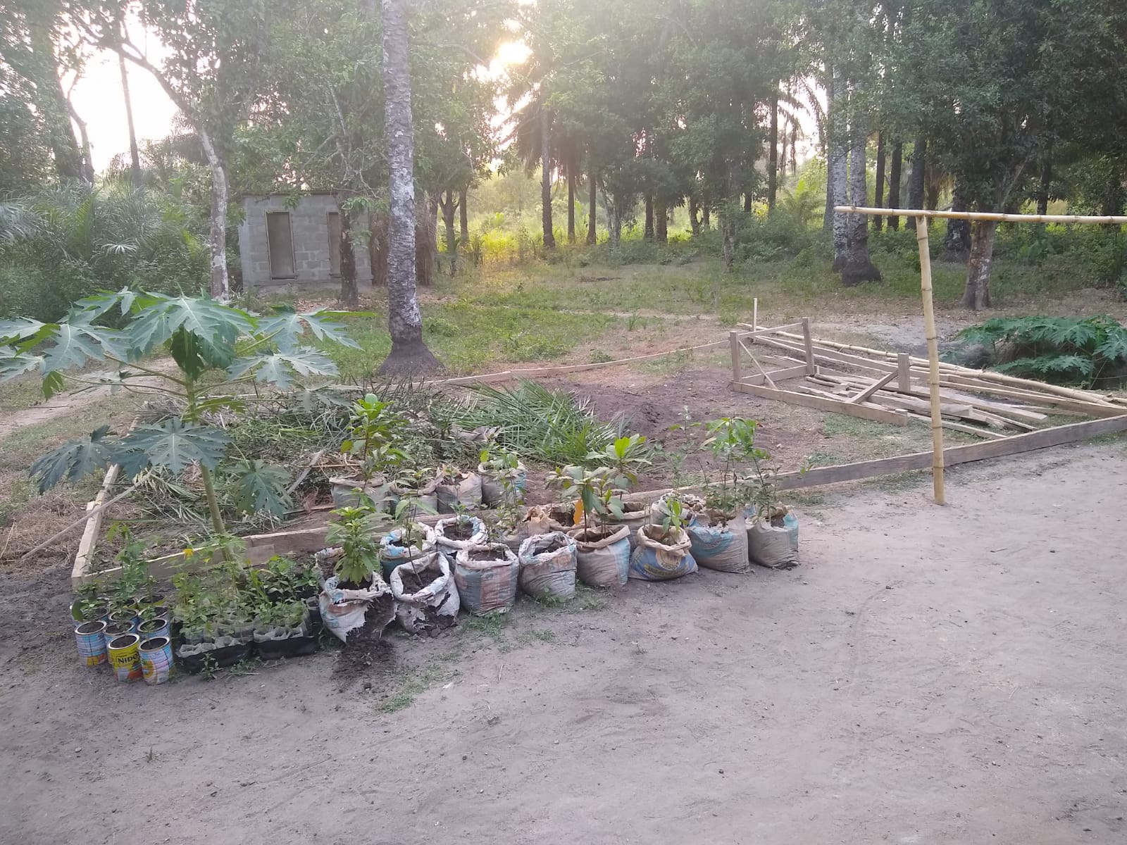 Agriculture Agriculture