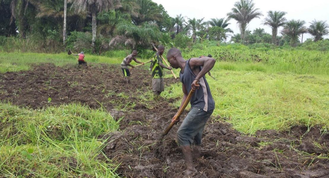 Agriculture