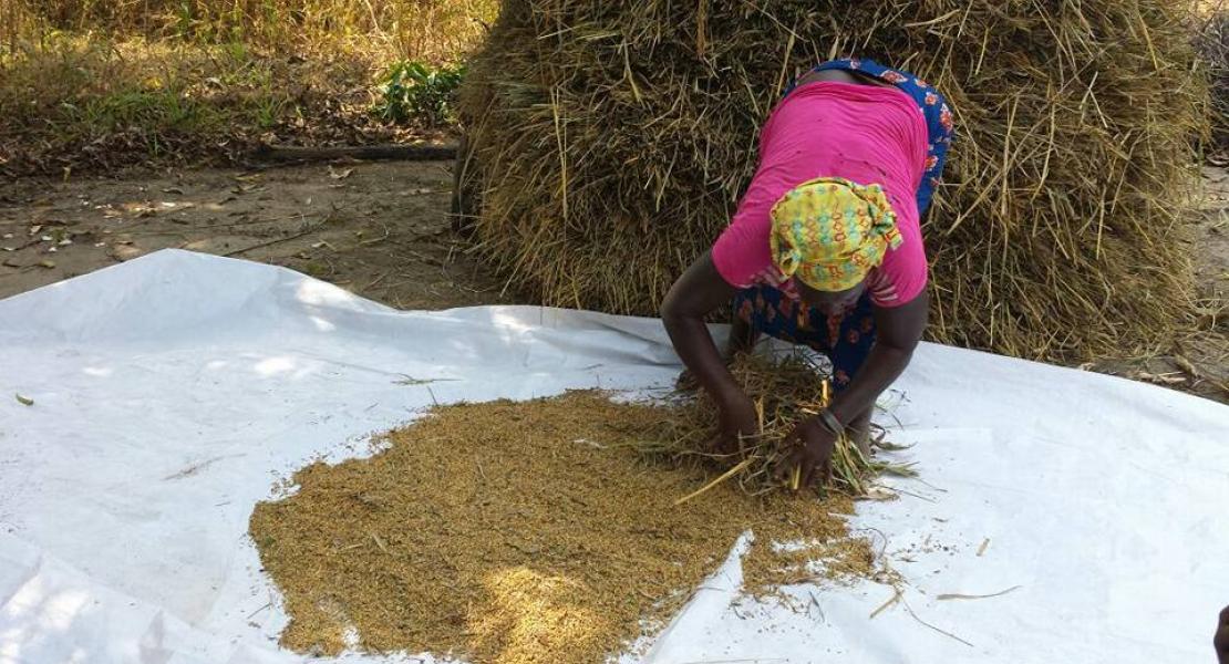 Agriculture
