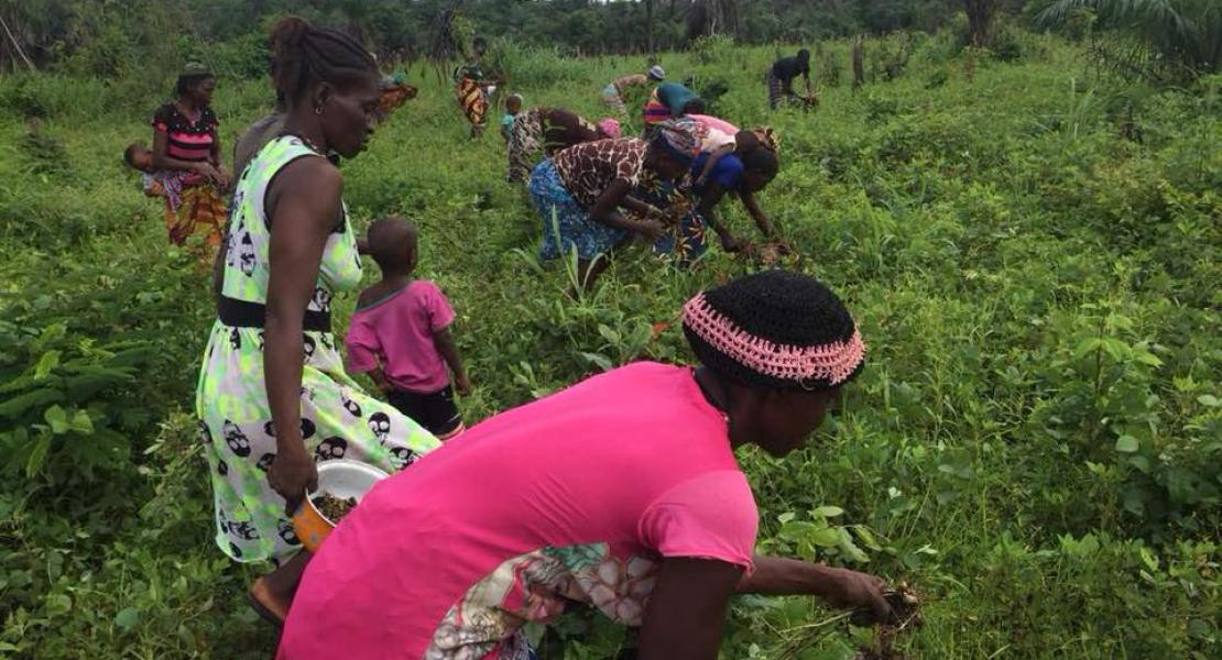 Agricultural Program